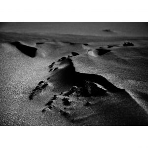 Traces n°16