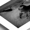 Traces n°16 – Image 3