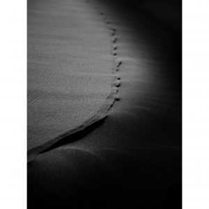 Traces n°30