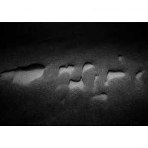 Traces n°31