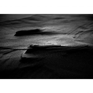 Traces n°37