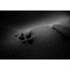 Traces n°38