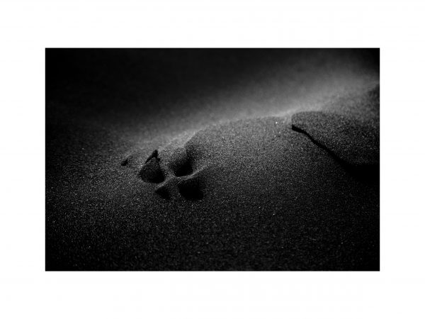 Traces n°38