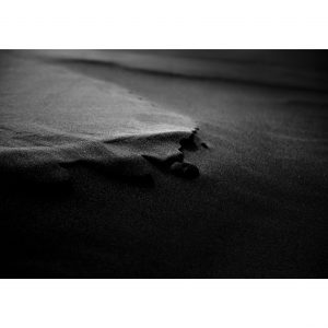 Traces n°40