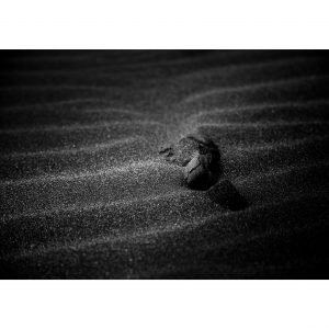 Traces n°44
