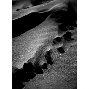 Traces n°49