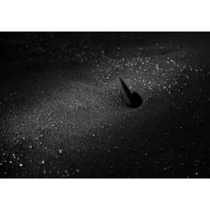 Traces n°59