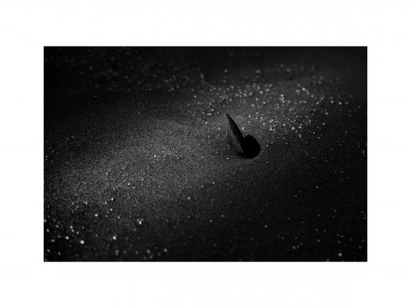 Traces n°59