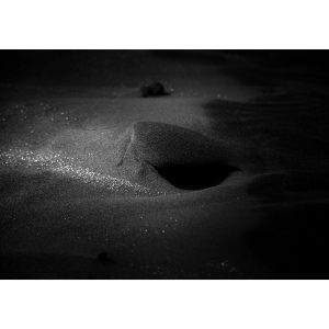 Traces n°60