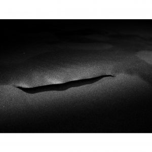 Traces n°65